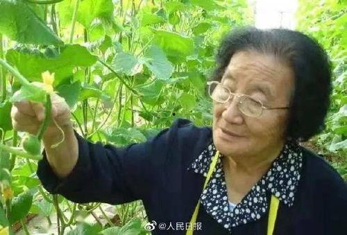 娱乐吃瓜君说二豆,二豆背后的故事与真相