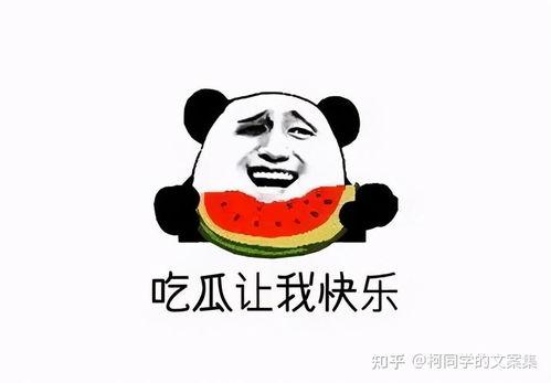 吃瓜娱乐图片文案搞笑,一张图带你领略吃瓜界的欢乐盛宴