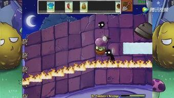 吃瓜娱乐大世界,吃瓜娱乐大世界全解析