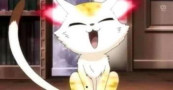 娱乐吃瓜酱长矛老师,娱乐吃瓜界的翘楚，揭秘娱乐圈幕后风云