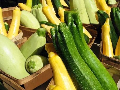 吃瓜娱乐营养,营养生活新风尚