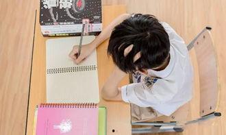 娱乐吃瓜酱学生,揭秘校园里的那些“瓜”