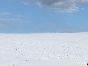 娱乐吃瓜洲,揭秘娱乐圈背后的那些事儿