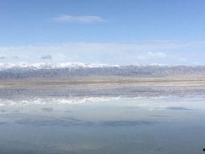 娱乐吃瓜洲,揭秘娱乐圈背后的那些事儿