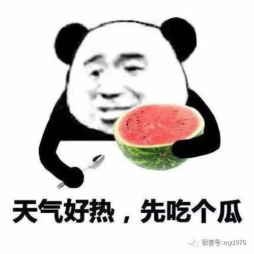 娱乐吃瓜酱你相信爱情吗,爱情信仰的探讨与反思