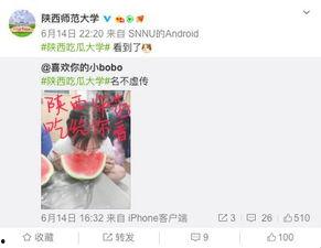 娱乐吃瓜酱大学,大学生活中的趣味瞬间