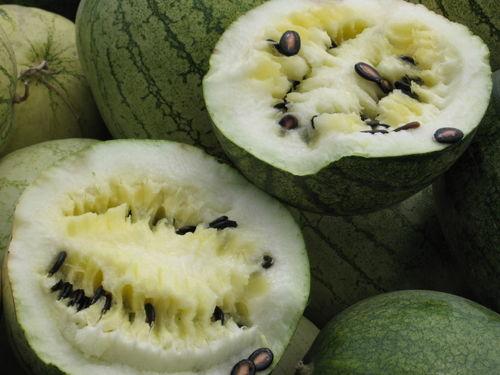 娱乐718吃瓜上不去了,揭秘吃瓜群众为何上不去的神秘面纱