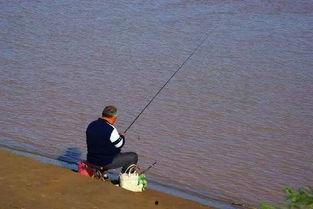 娱乐吃瓜钓鱼视频大全下载,一键下载收藏！