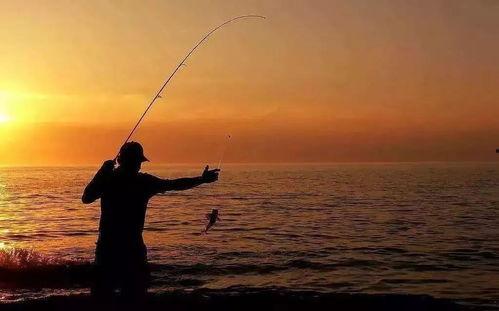 娱乐吃瓜钓鱼视频大全下载,一键下载收藏！