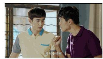 吃瓜追星娱乐,吃瓜追星，娱乐至上