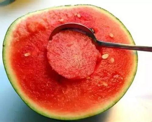 娱乐吃瓜酱雪玫瑰