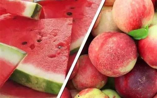 娱乐吃瓜酱雪玫瑰