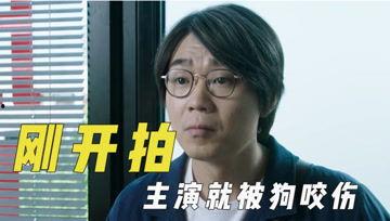 娱乐吃瓜君排行榜,揭秘娱乐圈最新热点与热门人物