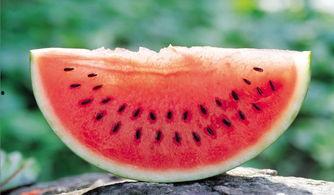 娱乐吃瓜酱人工