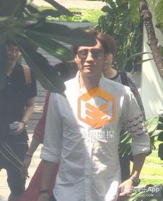 娱乐吃瓜君事件,揭秘网络舆论背后的真相与争议